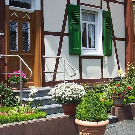 Mia Casa Apartment Morsbach  Exterior photo